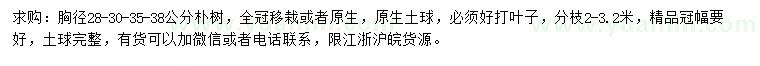 求購胸徑28-38公分樸樹