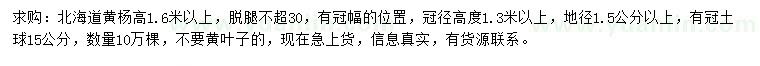 求購(gòu)高1.6米以上北海道黃楊