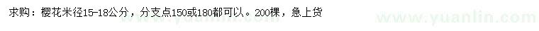 求購米徑15-18公分櫻花