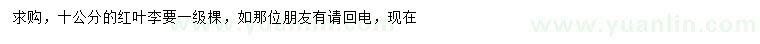 求購(gòu)10公分紅葉李