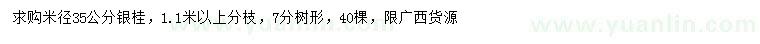 求購米徑35公分銀桂