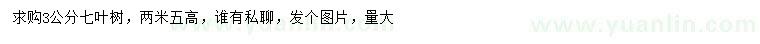 求購(gòu)3公分七葉樹(shù)