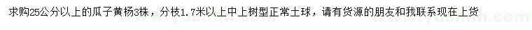 求購25公分以上瓜子黃楊