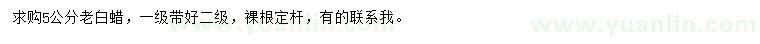 求購(gòu)5公分老白蠟