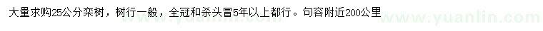 求購25公分欒樹