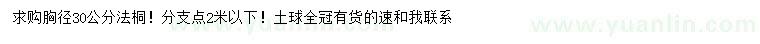 求購(gòu)胸徑30公分法桐