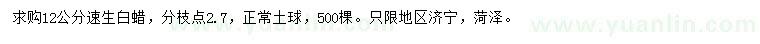 求購12公分速生白蠟