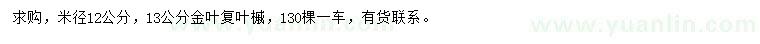 求購米徑12、13公分金葉復(fù)葉槭