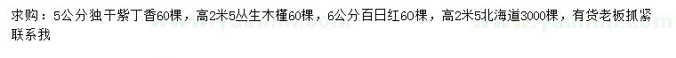 求購紫丁香、叢生木槿、百日紅等