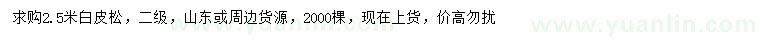 求購2.5米白皮松