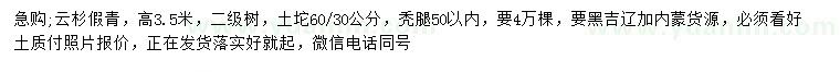 求購(gòu)高3.5米云杉假青