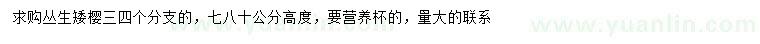 求購高70-80公分叢生矮櫻