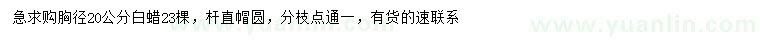 求購(gòu)胸徑20公分白蠟