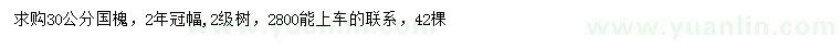 求購30公分國槐