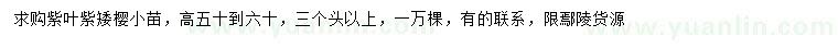 求購高50-60公分紫葉矮櫻小苗