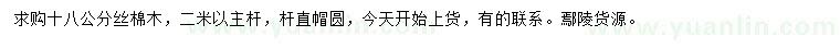 求購18公分絲棉木