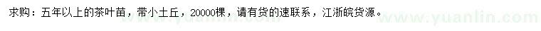 求購五年以上茶葉苗