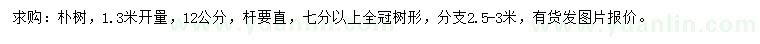 求購1.3米量12公分樸樹