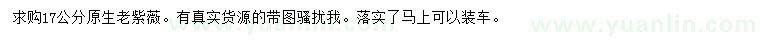 求購17公分原生老紫薇