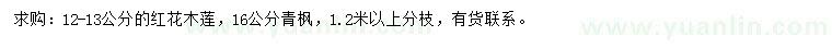 求購12-13公分紅花木蓮、16公分青楓