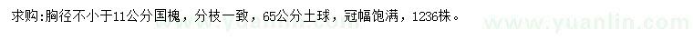 求購胸徑不小于11公分國槐