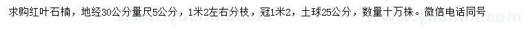 求購(gòu)30量5公分紅葉石楠