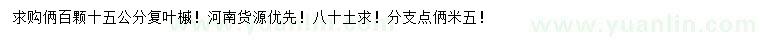 求購15公分青葉復葉槭