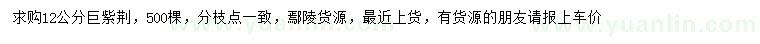 求購(gòu)12公分巨紫荊