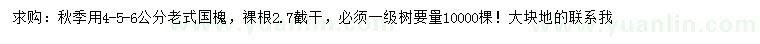 求購4、5、6公分老式國槐