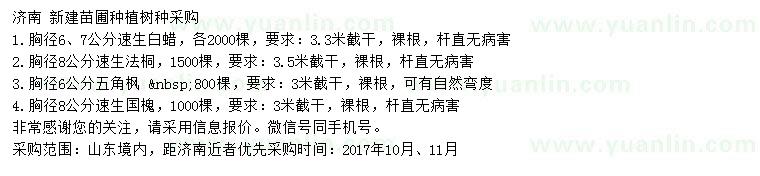 求購速生白蠟、法桐、五角楓等