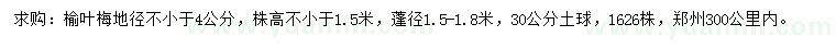 求購(gòu)地徑不小于4公分榆葉梅