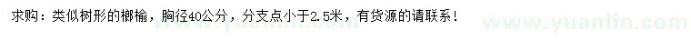 求購胸徑40公分榔榆