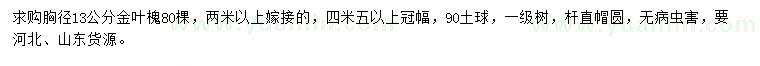 求購(gòu)胸徑13公分金葉槐