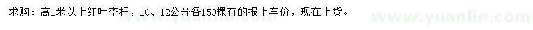 求購(gòu)高1米以上紅葉李桿