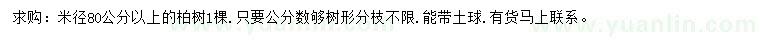 求購米徑80公分以上柏樹