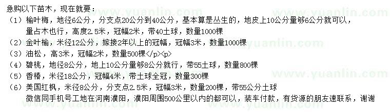 求購榆葉梅、金葉榆、油松等