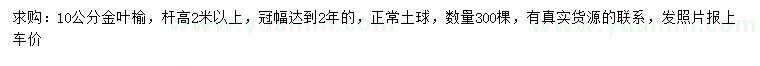 求購10公分金葉榆