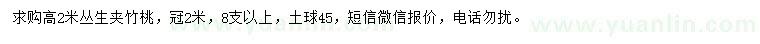 求購高2米叢生夾竹桃