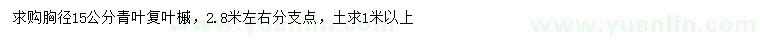 求購胸徑15公分青葉復(fù)葉槭