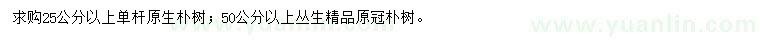 求購25、50公分原生樸樹