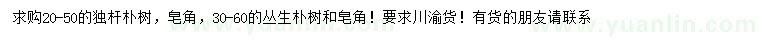 求購(gòu)樸樹(shù)、皂角、叢生樸樹(shù)