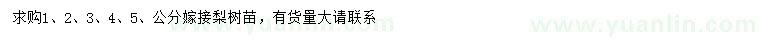 求購1、2、3、4、5、公分梨樹