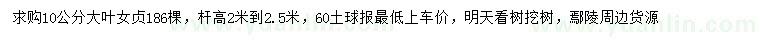 求購10公分大葉女貞