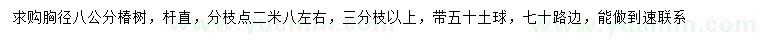 求購胸徑8公分椿樹