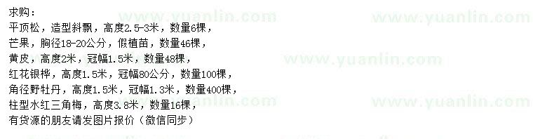 求購(gòu)平頂松、芒果、黃皮等