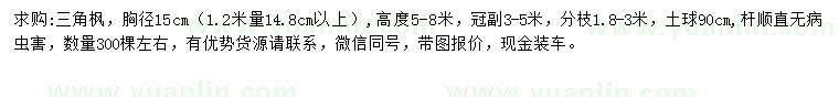 求購1.2米量15公分三角楓