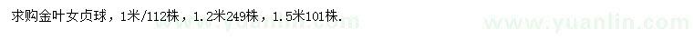 求購(gòu)1、1.2、1.5米金葉女貞球