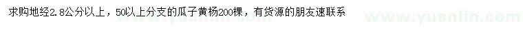 求購地徑2.8公分以上瓜子黃楊