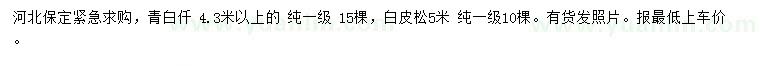 求購(gòu) 4.3米以上青白仟、5米白皮松