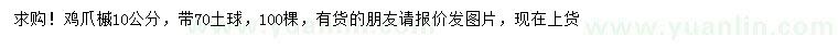 求購10公分雞爪槭